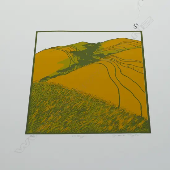 CYNTHIA TAYLOR SCREENPRINT 'VALLEY' 8/45 H. 360 W. 260