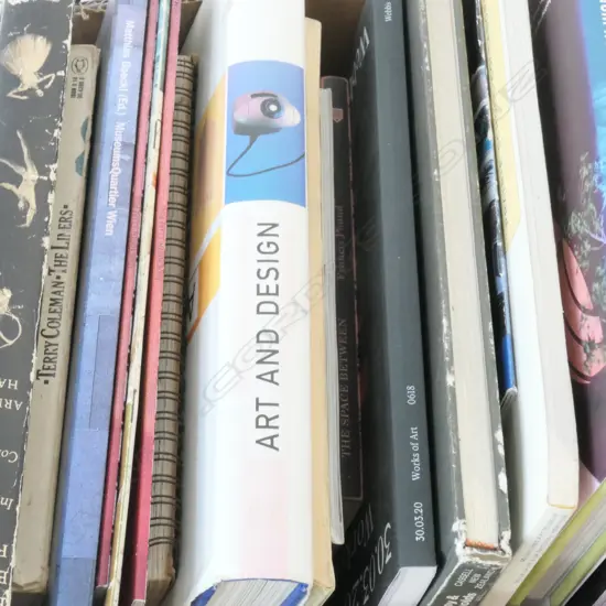 BOX LOT ART AND DESIGN BOOKS