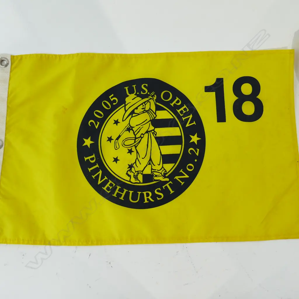 4 GOLFING FLAGS L 55 MM Image 1++