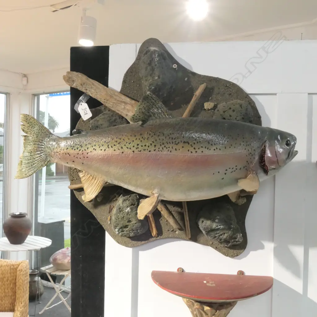 TAXIDERMIED TROPHY TROUT, Image 1++