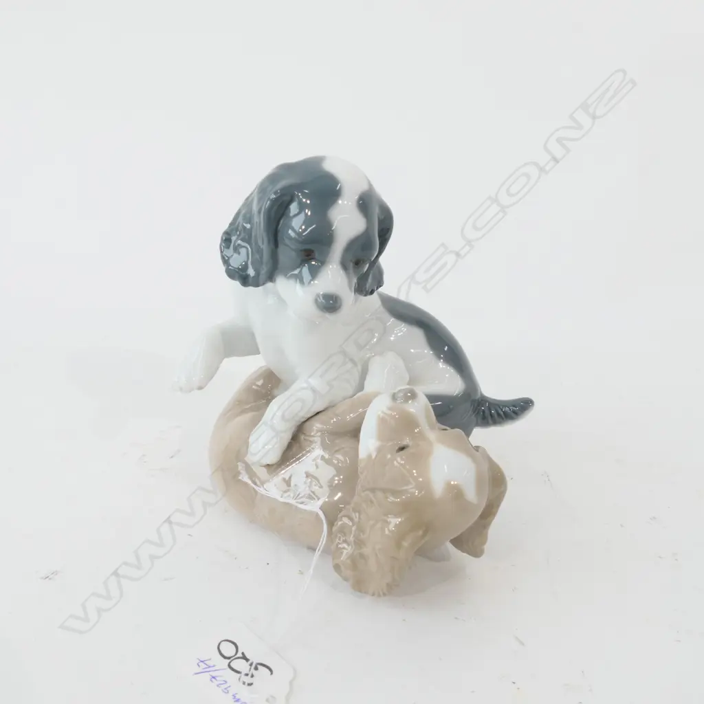 NAO PUPPY'S PLAYING Image 1++