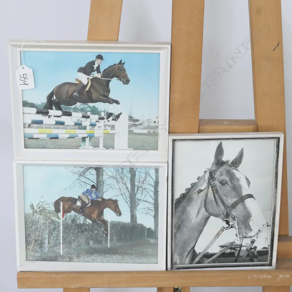 TWO COLOURED PRINTS AND B/W HORSE PHOTO Image 1++