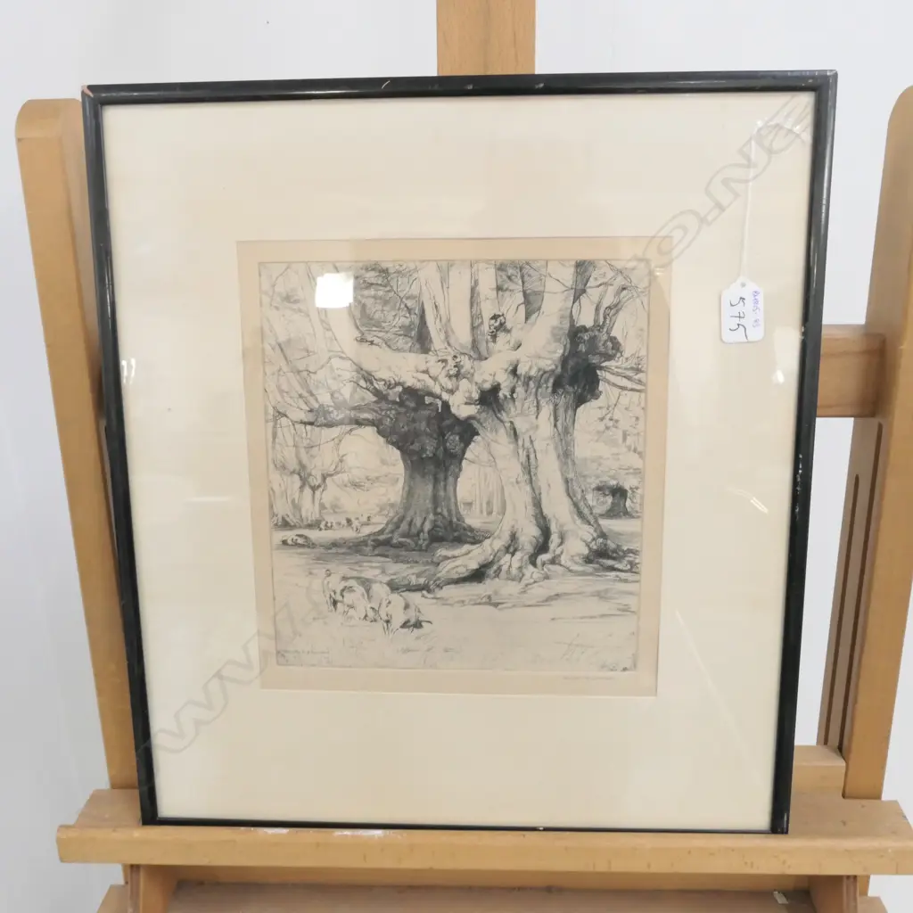 DOROTHY WOOLLARD 1915 ETCHING - OLD TREES & PIGS Image 1++