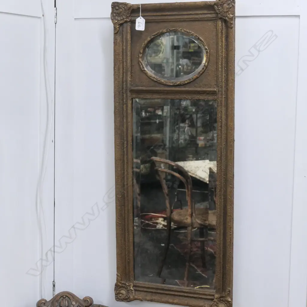 TRUMEAU TYPE MIRROR 350 x 860mm Image 1++