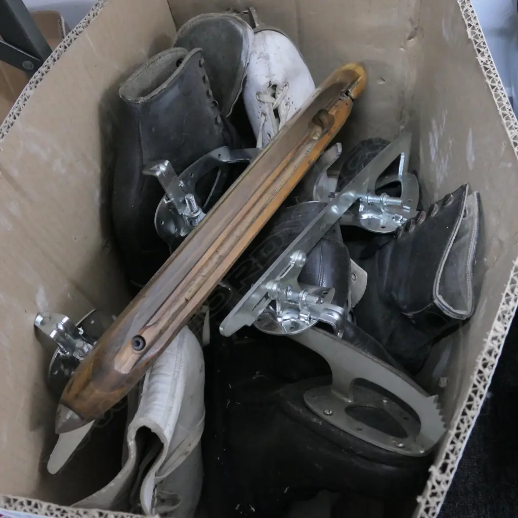 BOX ASST ICE SKATES ETC Image 1++
