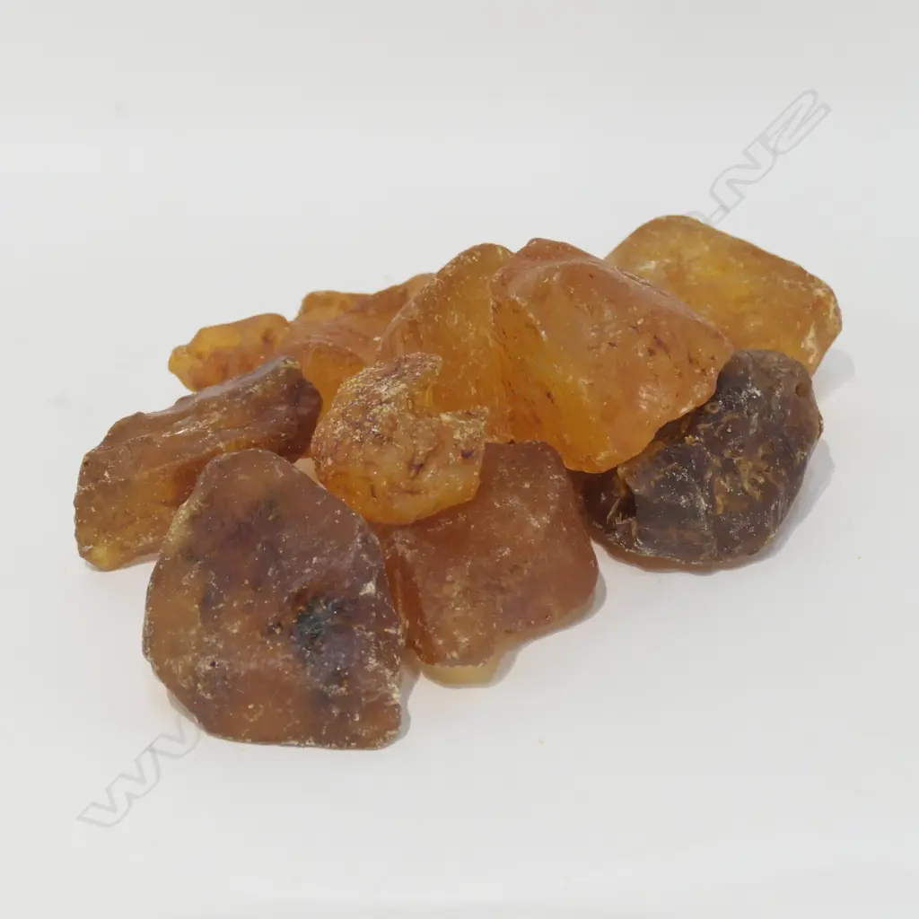 9 KAURI GUM PCES COMBINED WEIGHT 500 GRAMS APPROX Image 1++