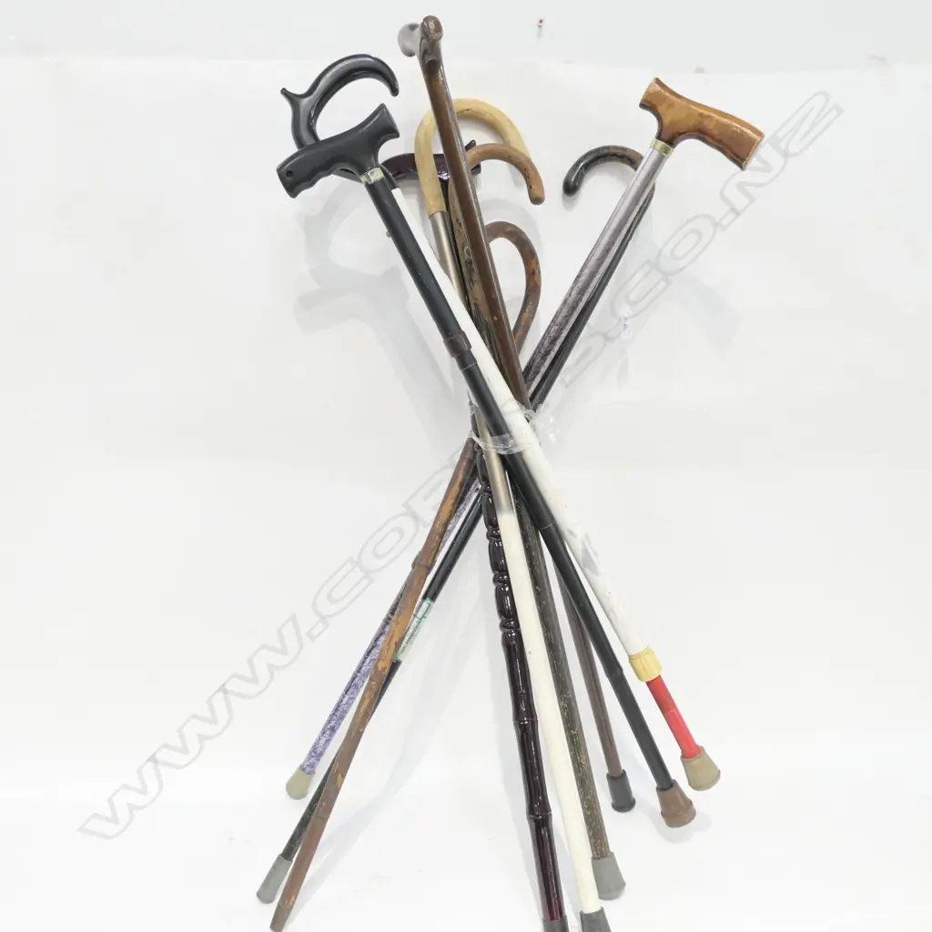 9 ASST WALKING STICKS Image 1++