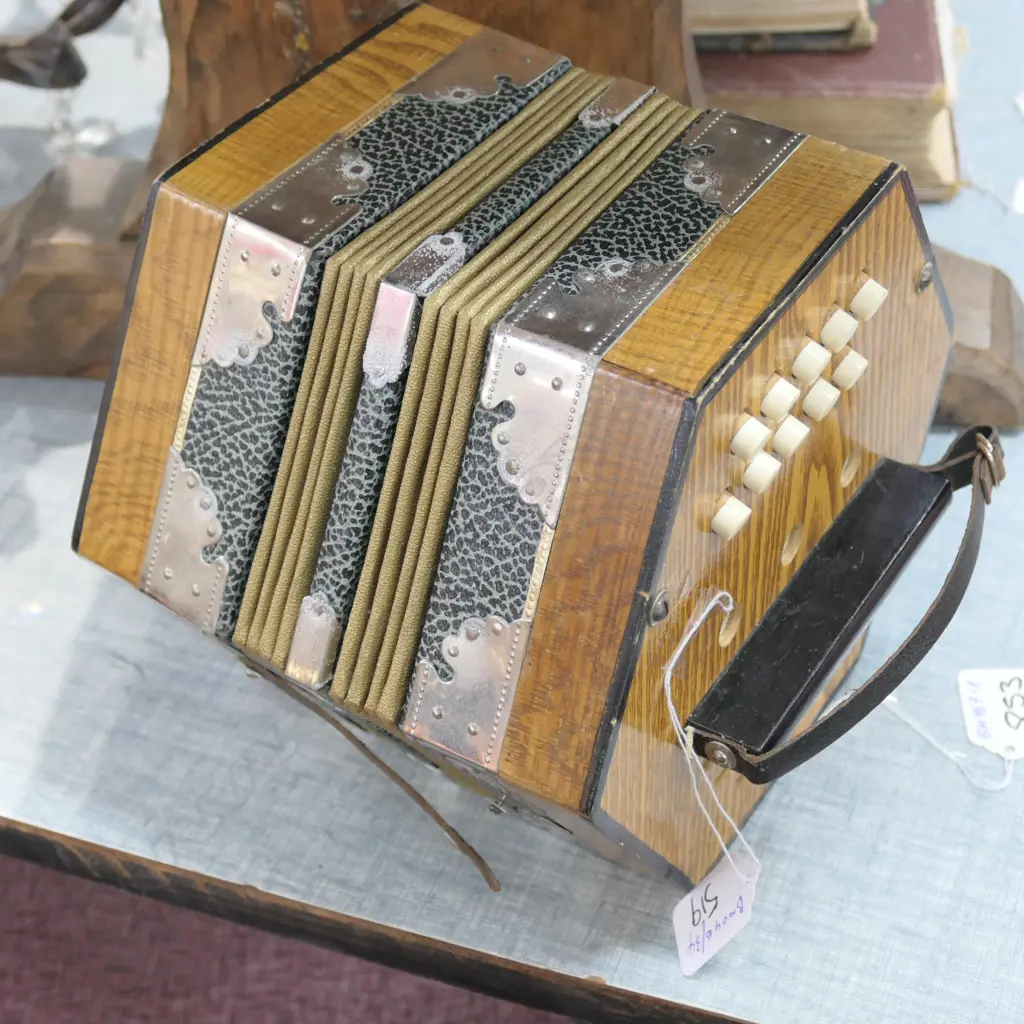 VINTAGE ACCORDIAN Image 1++
