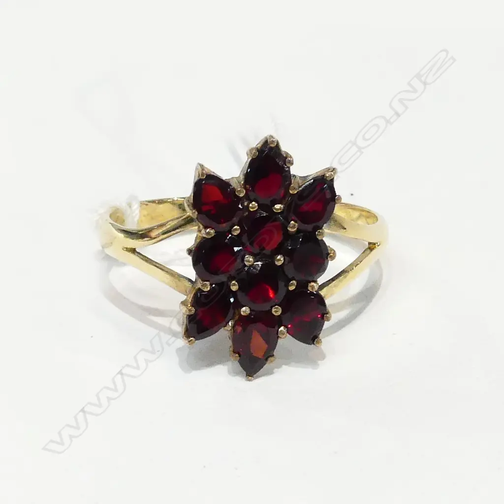 9ct GOLD AND GARNET RING Image 1++