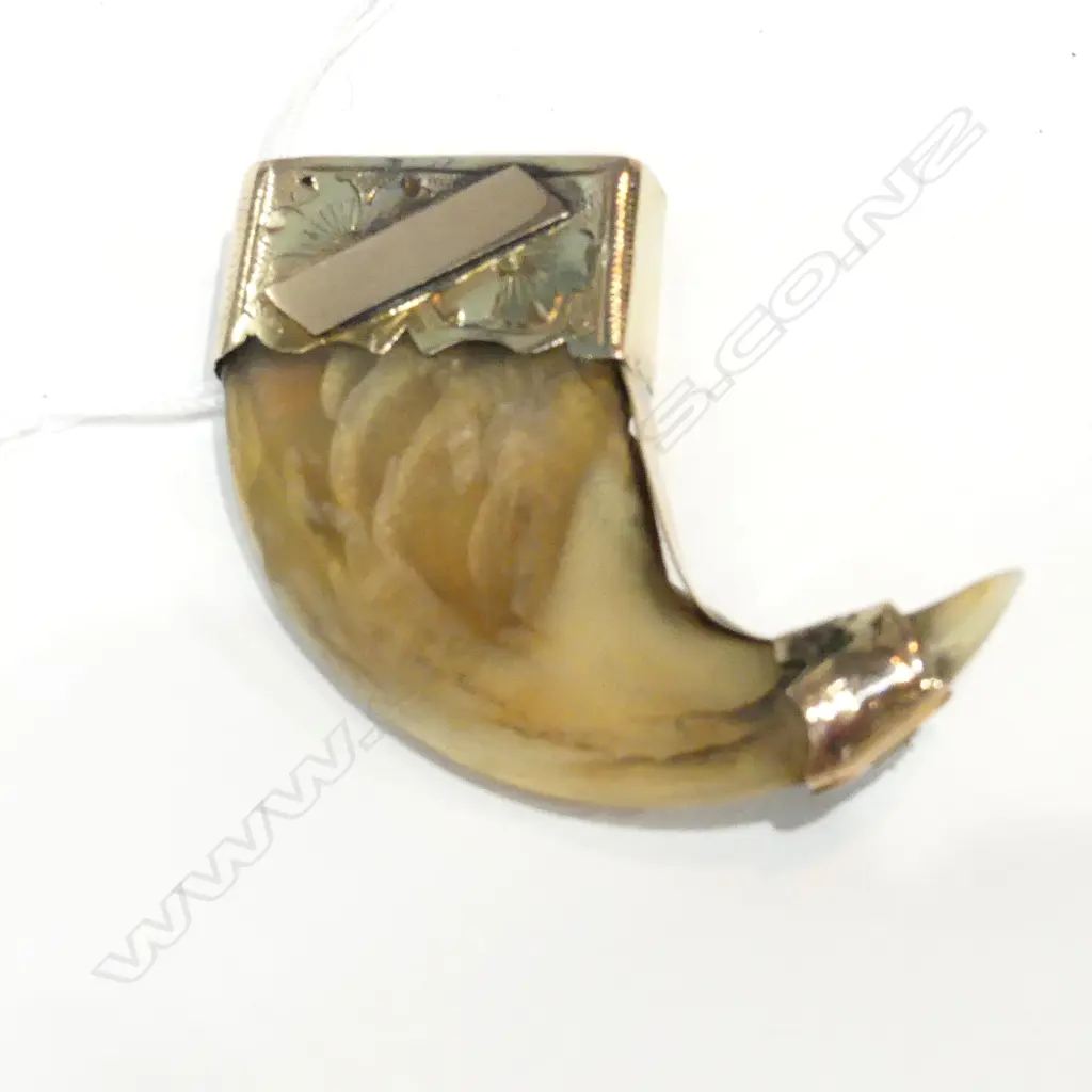 ANTIQUE 9CT GOLD & TIGER CLAW BROOCH Image 1++
