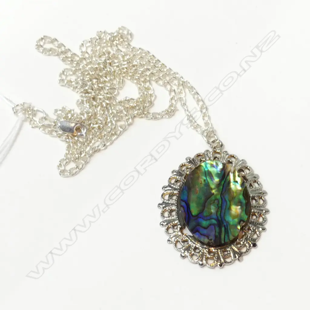SILVER & PAUA PENDANT & CHAIN Image 1++