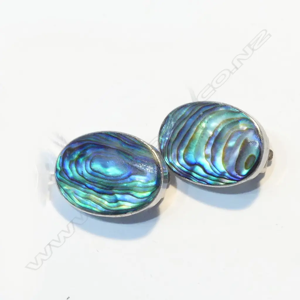 STG SILVER PAUA CLIP EARINGS Image 1++