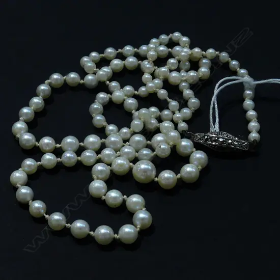 CULTURED PEARL NECKLACE REPLACEMENT VALUATION $1780 (A59)