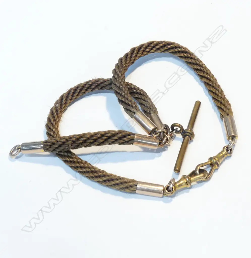 VICT PLAITED HAIR ALBERT CHAIN WITH 9ct GOLD FITTING (GOLD PLATED T-BAR & DOG CLIPS) Image 1++