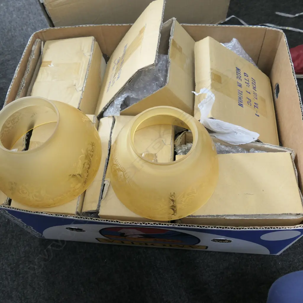 ASST LIGHT SHADES Image 1++