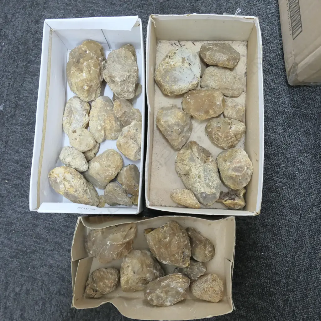 3 SMALL BOXES OF KAURI GUM Image 1++