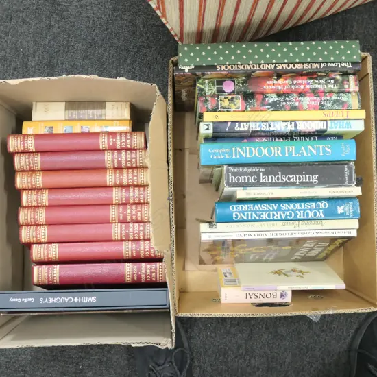 2 BOXES OF ASST BOOKS