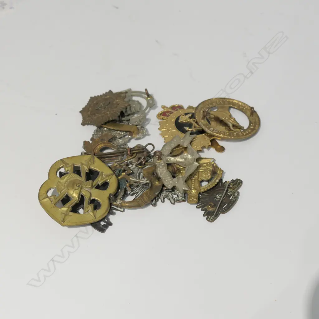 COLLECTION OF REGIMENTAL CAP BADGES Image 1++