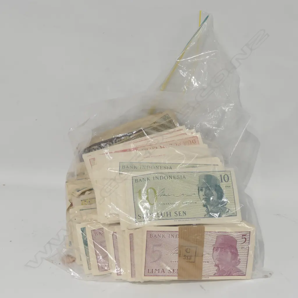 BAG OF MISCELLANEOUS INTERNATIONAL BANKNOTES Image 1++