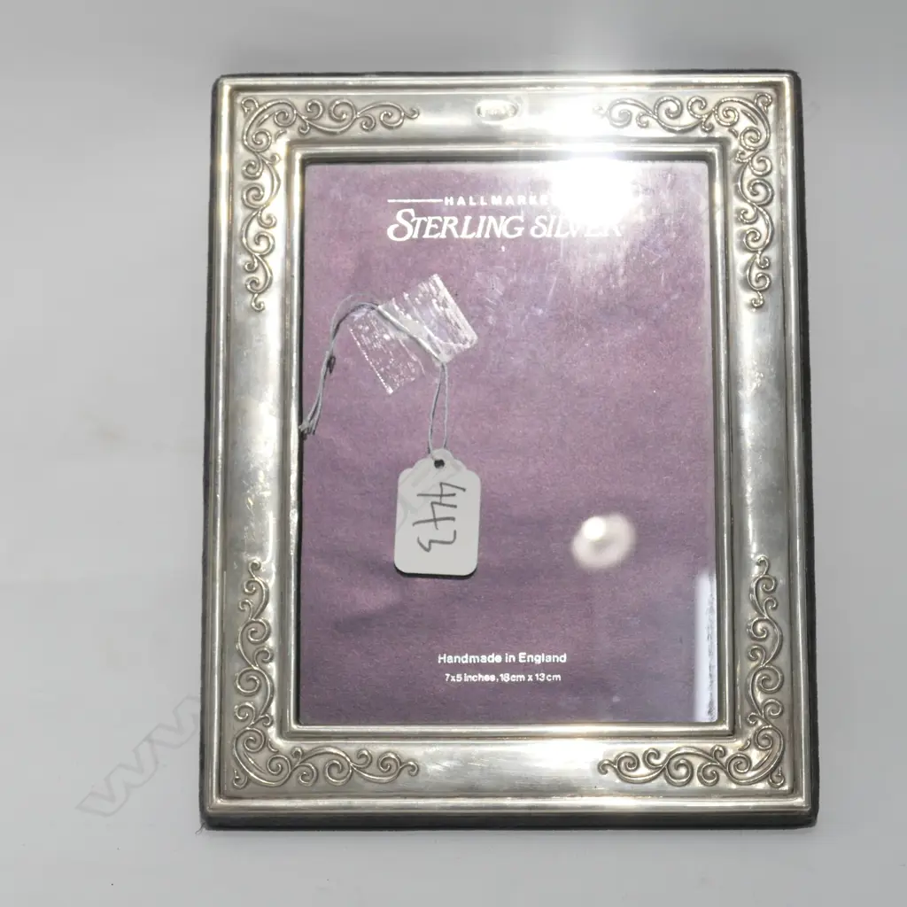 STG SILVER FRAME 225MM H 175MM W Image 1++