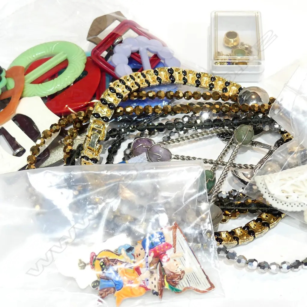 ASSORT. BROOCHES/PLASTIC BUCKLES/2 DRESS NECKLACES Image 1++