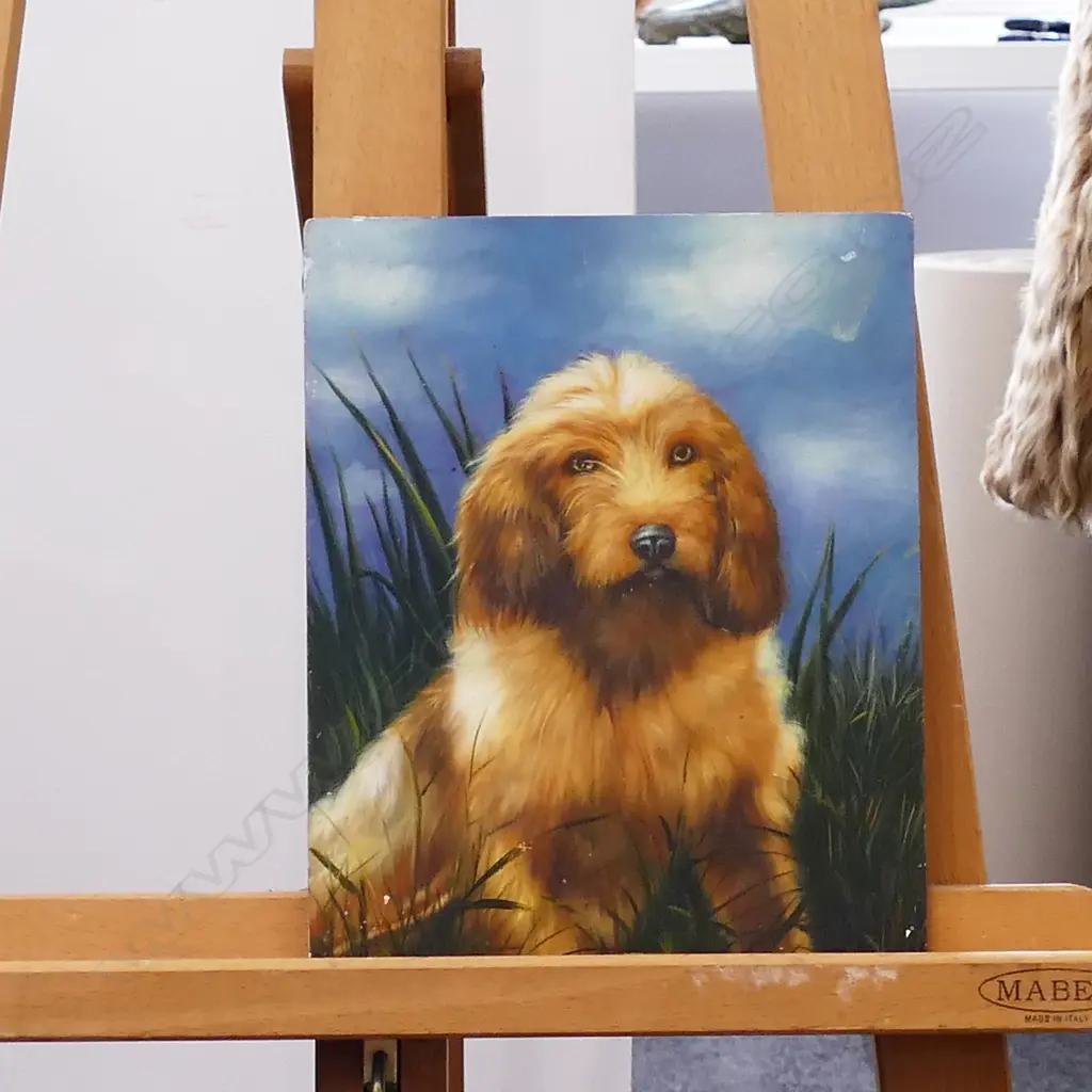 OIL ON BOARD DOG IN GRASS UNSIGNED 250 X 2000 MM Image 1++