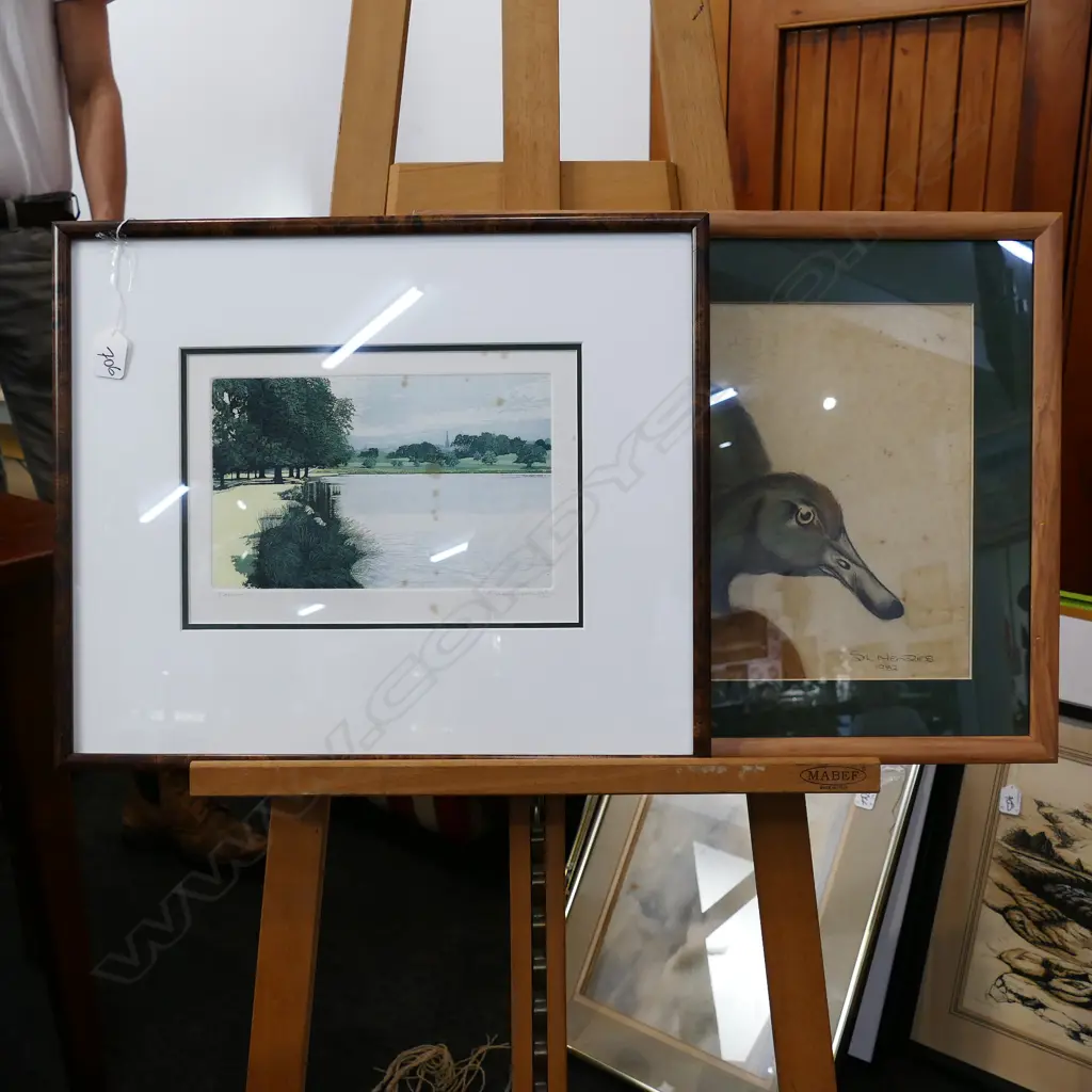 2X SIGNED & FRAMED ARTWORKS. DUCKS & BRITISH PRINT Image 1++