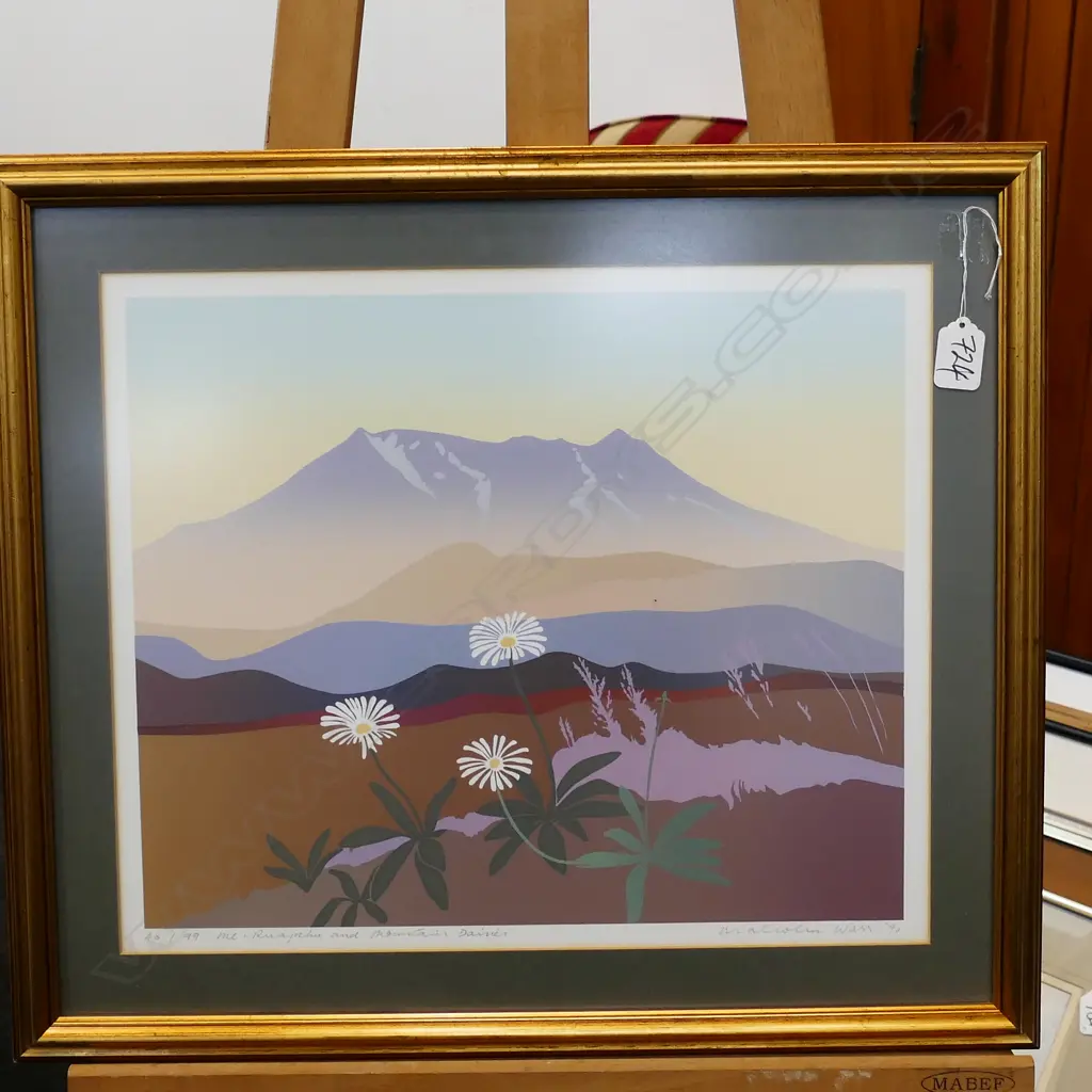 MALCOLM WARR PRINT MT. RUAPEHU LTD ED 46/99 Image 1++