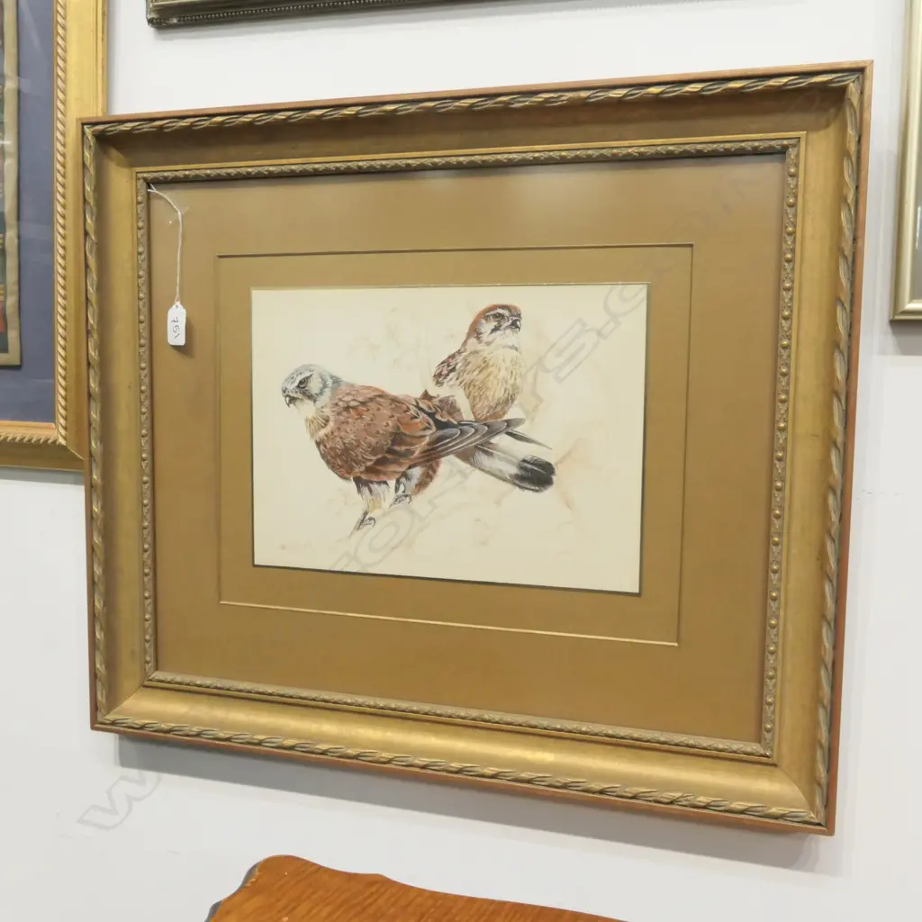 JARIUS W/C OF KESTRELS, GILT FRAMED. W. 620MM Image 1++