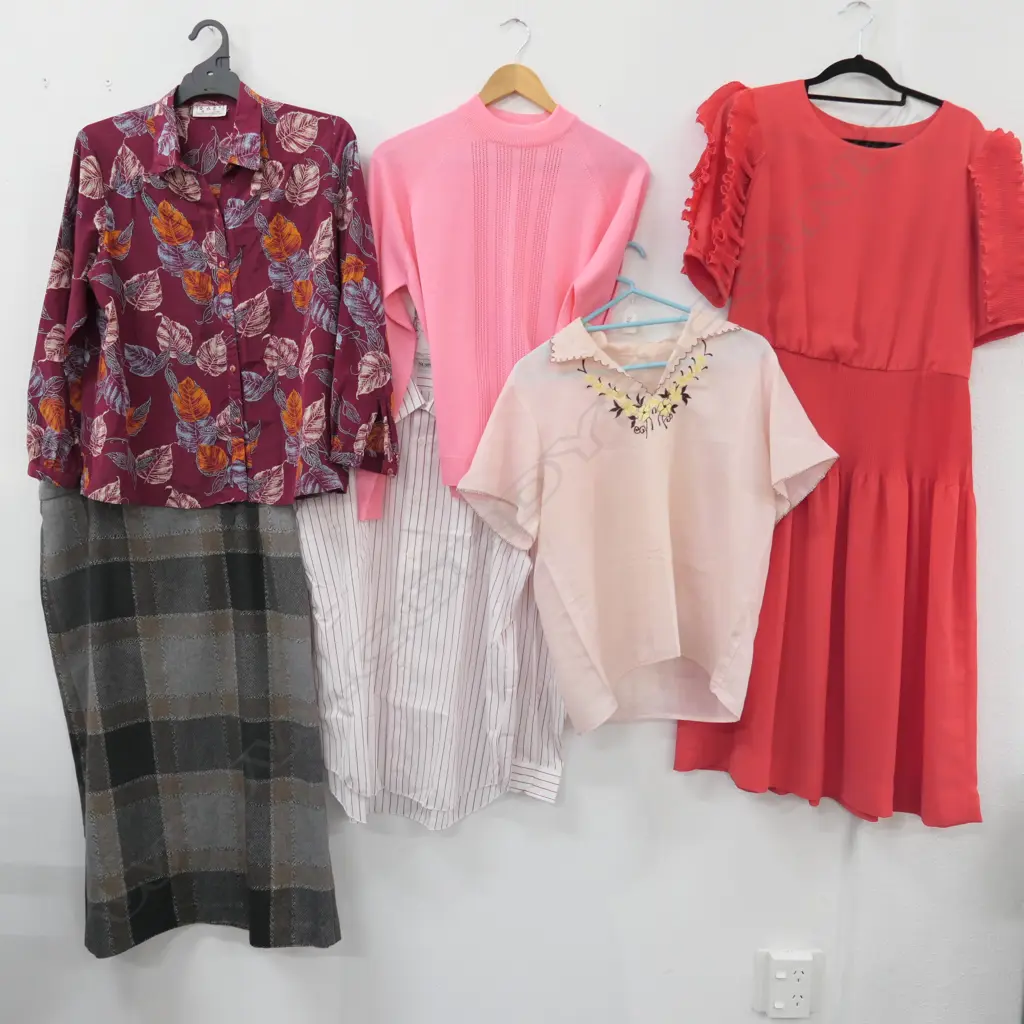 3 SHIRTS; 1 KNIT IN PEACH; 1 WINTER SKIRT; 1 PLEATED DAY WEAR DRESS Image 1++