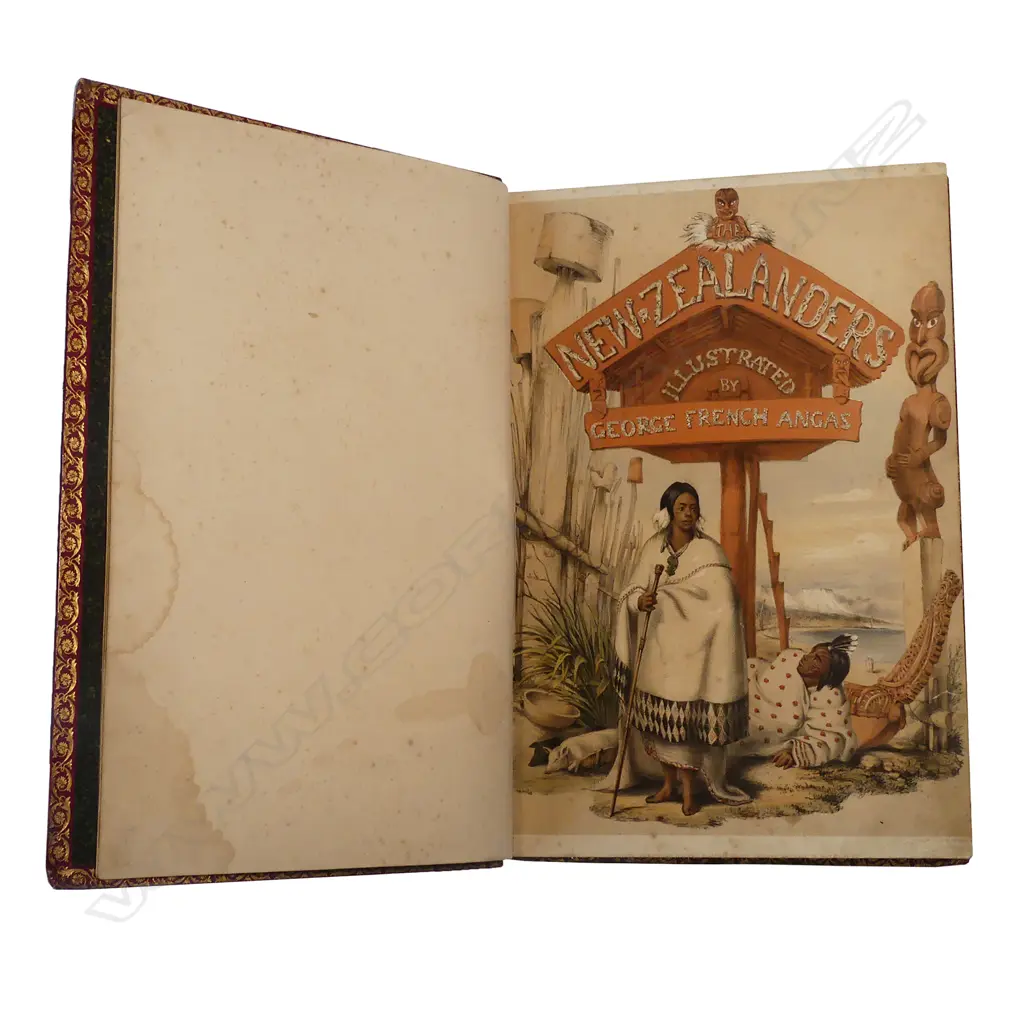 A rare first edition copy of The New Zealanders Illustrated by George French Angas Image 1++