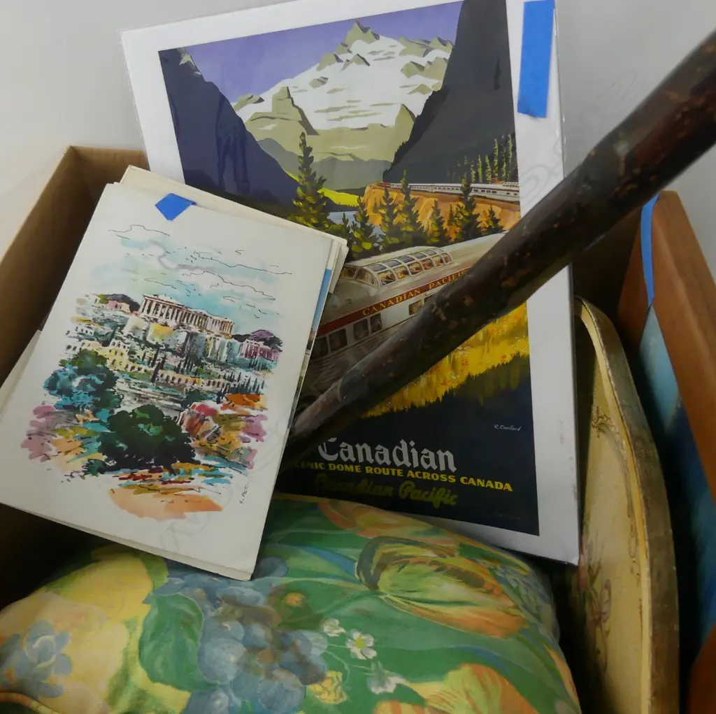 LOT ASST CUSHIONS BOOKS/ TRAY/PRINTS/ WALKING STICK ETC Image 1++