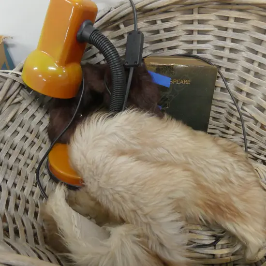 BASKET WITH FURS + RETRO LAMP