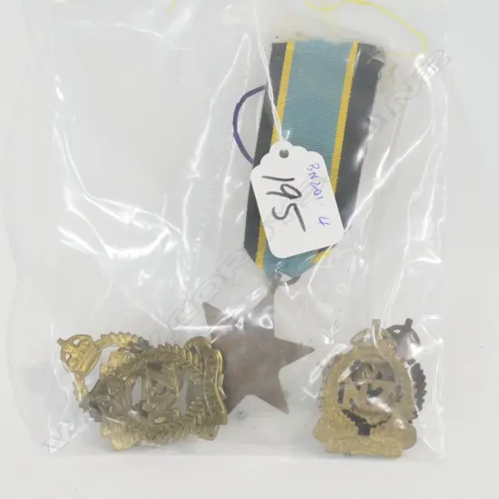 6 VARIOUS NZ ONWARD BADGES + AIR CREW EUROPE STAR COPY