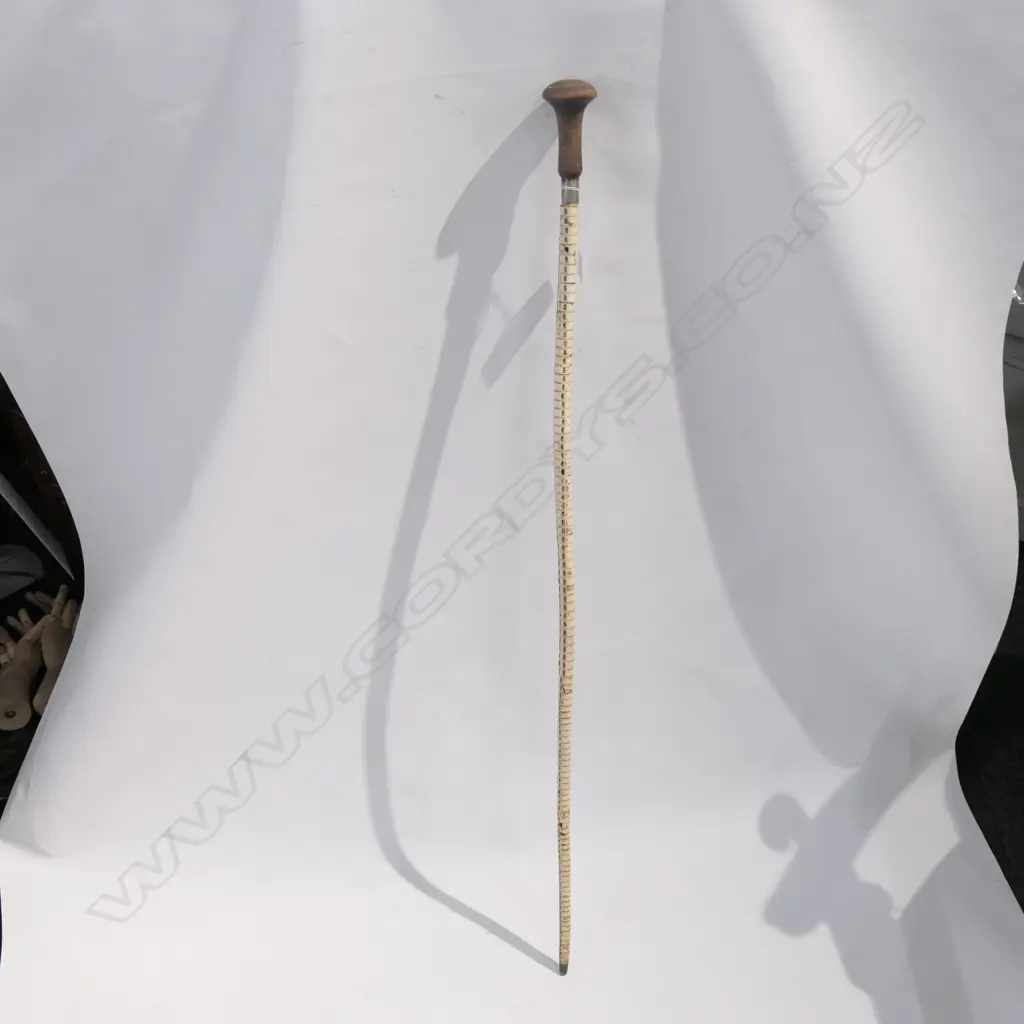 OLD SHARK VERTEBRAE WALKING STICK Image 1++