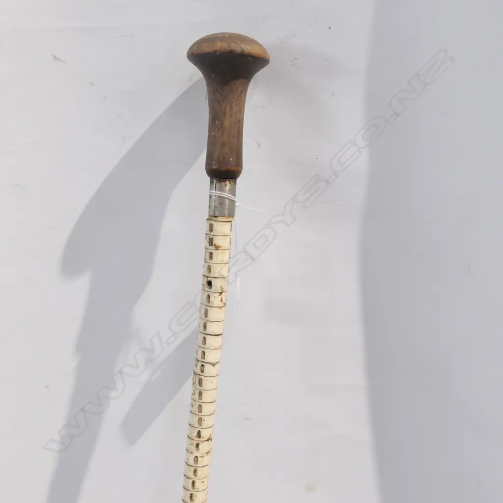 OLD SHARK VERTEBRAE WALKING STICK Image 1++