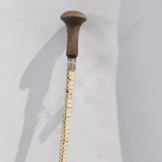 OLD SHARK VERTEBRAE WALKING STICK