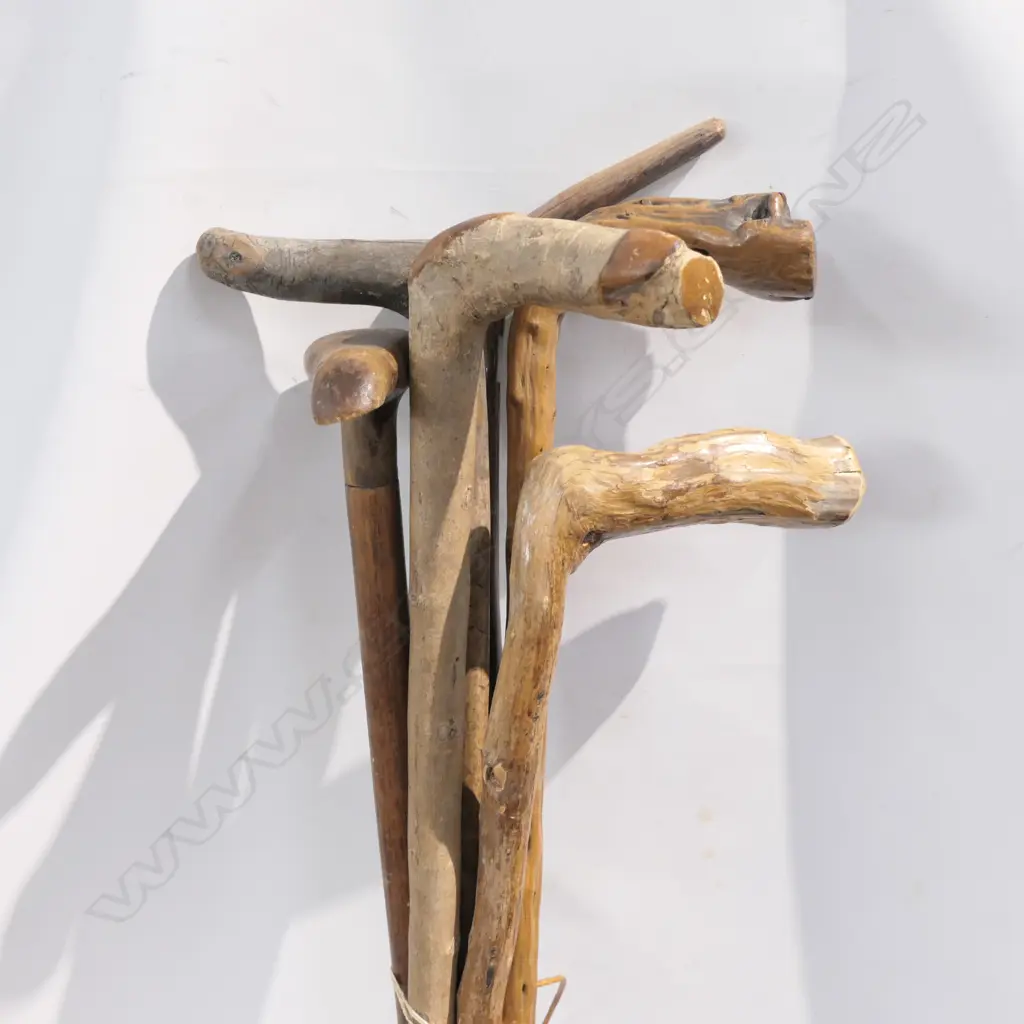6 VINTAGE WALKING STICKS Image 1++