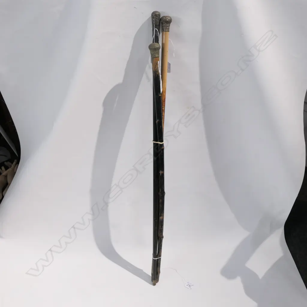 3 C1900 EMBOSSED METAL TOP WALKING STICKS 1 STG Image 1++