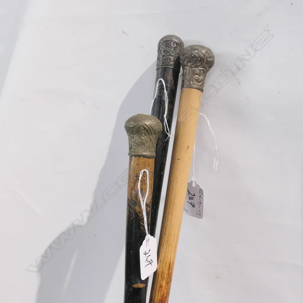 3 C1900 EMBOSSED METAL TOP WALKING STICKS 1 STG Image 1++