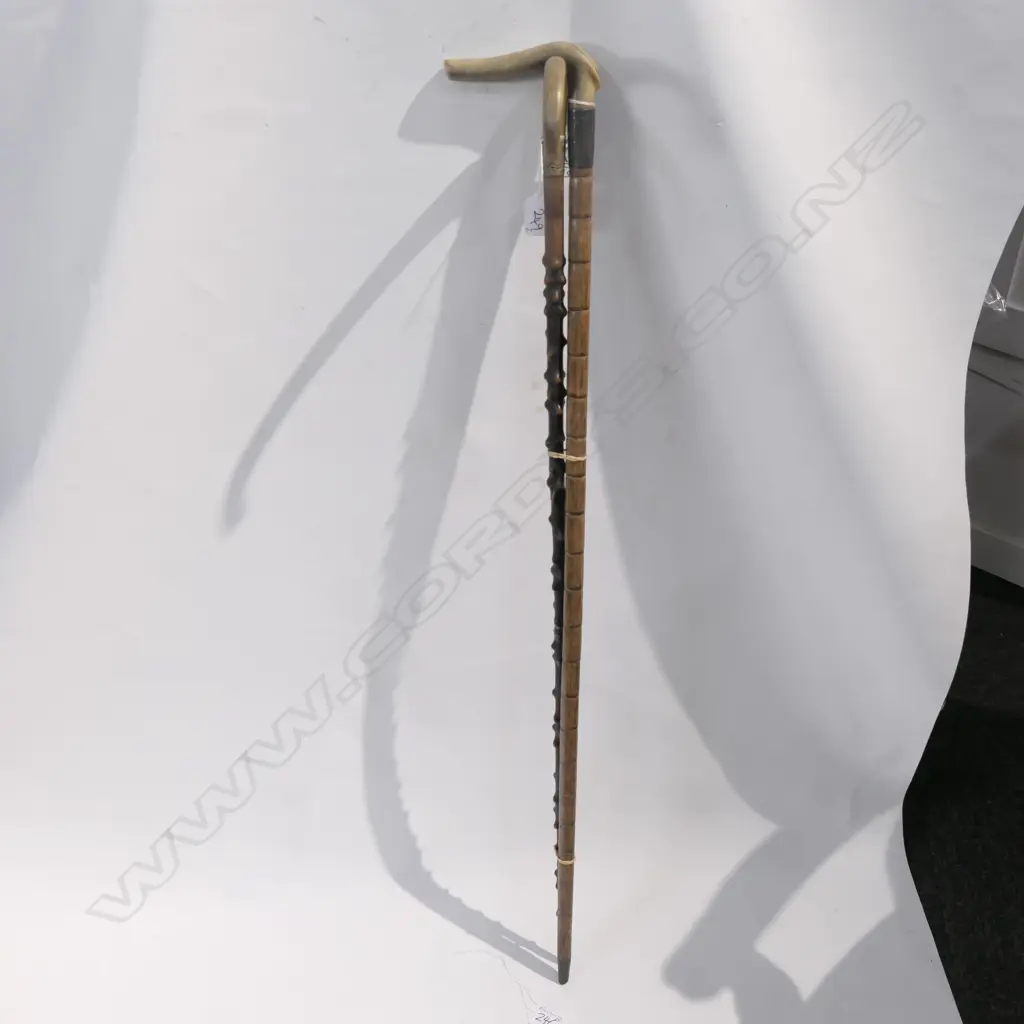 2 C1900 HORN HANDLED WALKING STICKS Image 1++