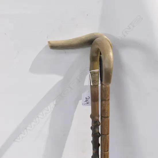 2 C1900 HORN HANDLED WALKING STICKS