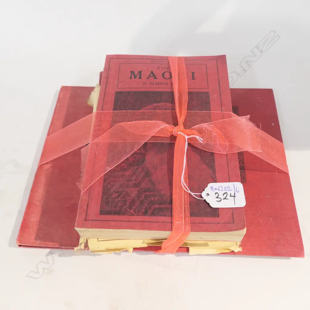 THREE VINTAGE BOOKS BY ELSDON BEST; 'TUHOE' THE CHILDREN OF THE MIST VOL. 2 C. 1925 AND VOL. 1, 2 'THE MAORI' C. 1941 Image 1++