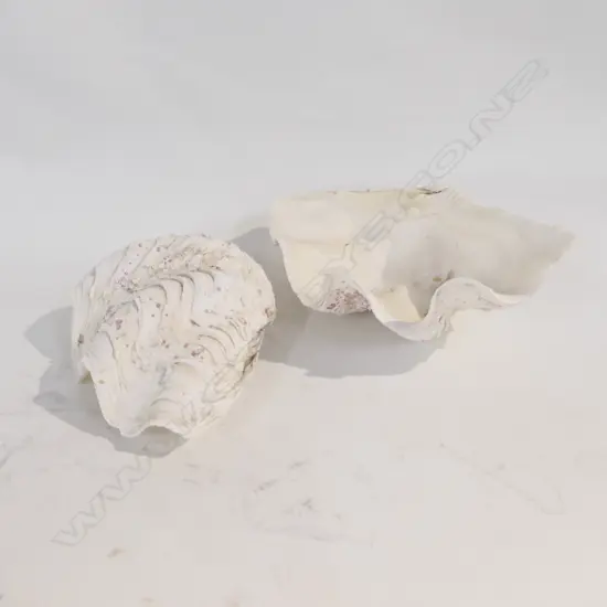 DOUBLE FITTING CLAM SHELL 260MM L