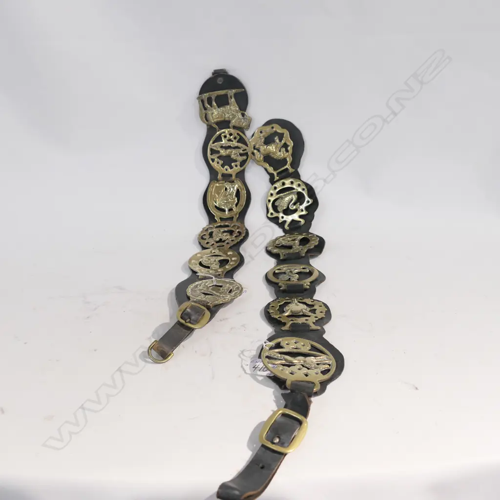 2 LEATHER HORSE BRASSES STRAP EA. WITH 6 BRASSES Image 1++
