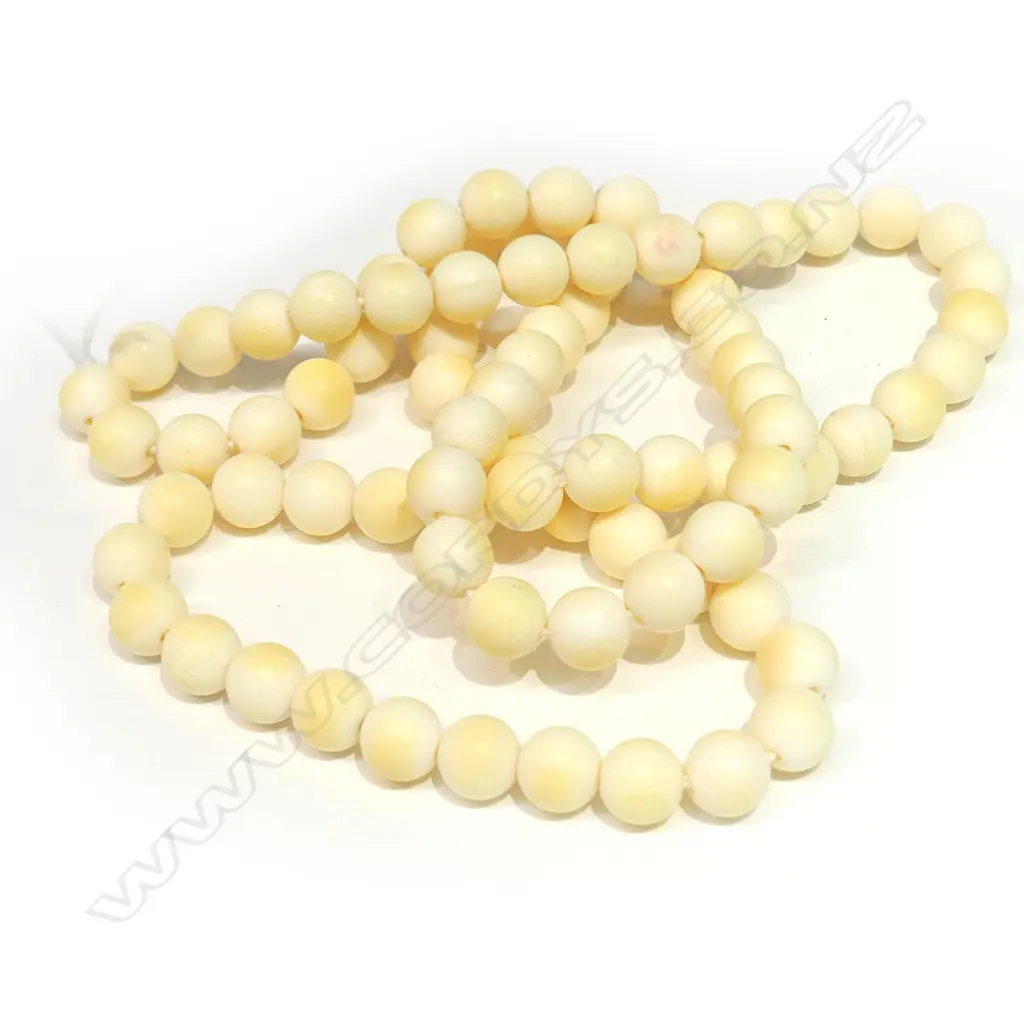 LONG IVORY NECKLACE Image 1++