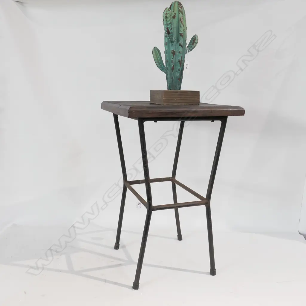 CAST IRON RUSTIC SIDE TABLE 470MM H AND METAL CACTUS 270MM H Image 1++