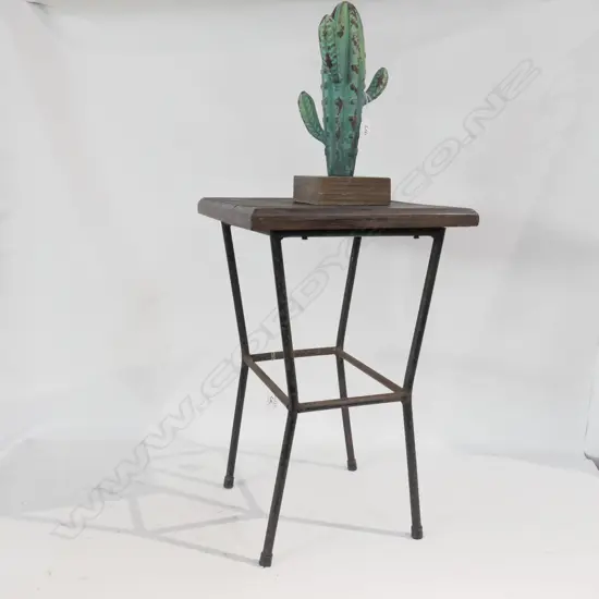 CAST IRON RUSTIC SIDE TABLE 470MM H AND METAL CACTUS 270MM H