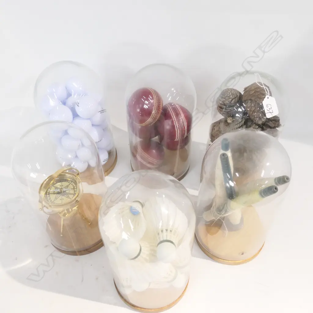 BOX LOT 6 ASST. GLASS DOMED DECOR PIECES; SPORTS ETC  Image 1++