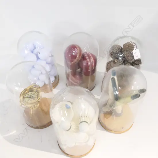 BOX LOT 6 ASST. GLASS DOMED DECOR PIECES; SPORTS ETC 